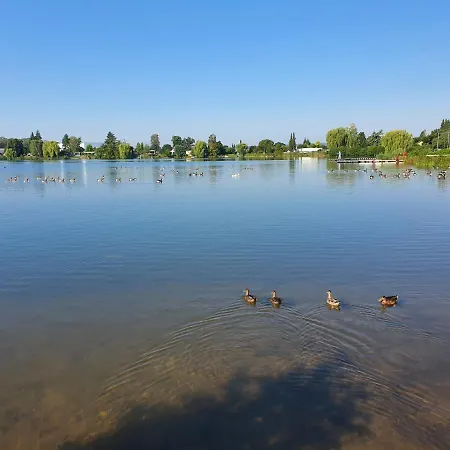 Lejlighed Am See-2 Hungen