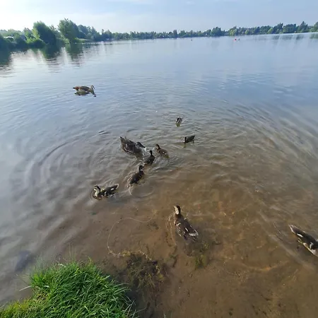 Lejlighed Am See-2