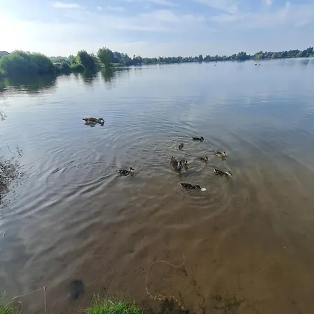 Am See-2 * Hungen