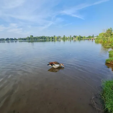 Apartment Am See-2