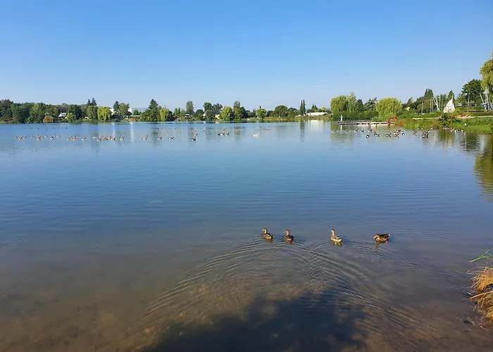 아파트 Am See-2 Hungen